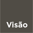 Visão